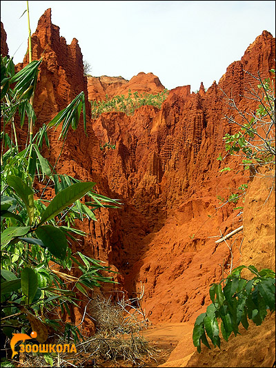 Южный Вьетнам. Каньон из красного песка. Фото, фотография