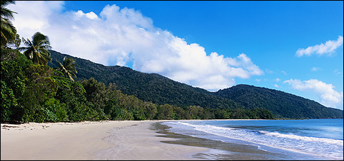 Тропический пляж. Пальмы. Горы. Море. Фото, фотография природа