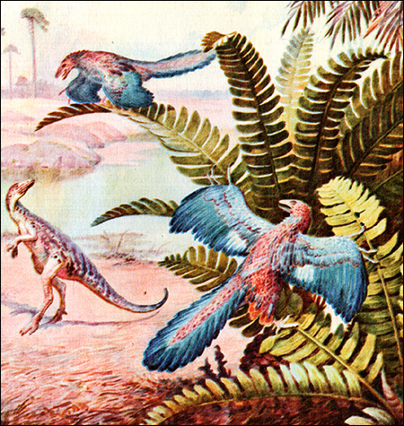 Археоптериксы (Archaeopteryx), Рисунок картинка птицы